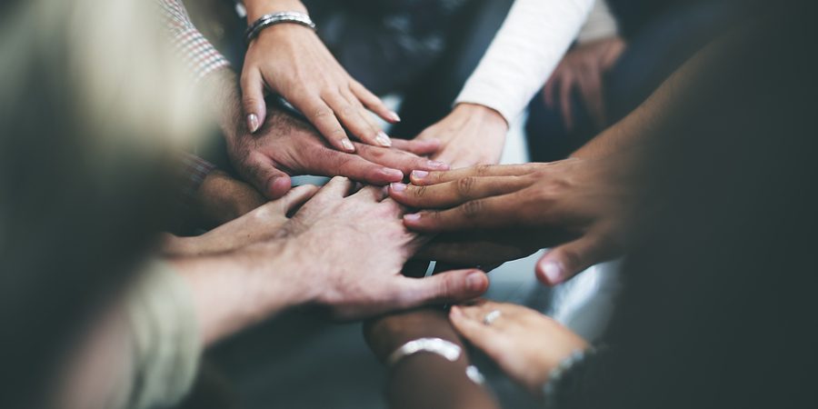 Agile Teamwork: How Twist Media Adapts and Executes Fast